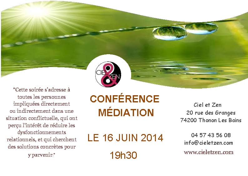 CONFERENCE MEDIATION